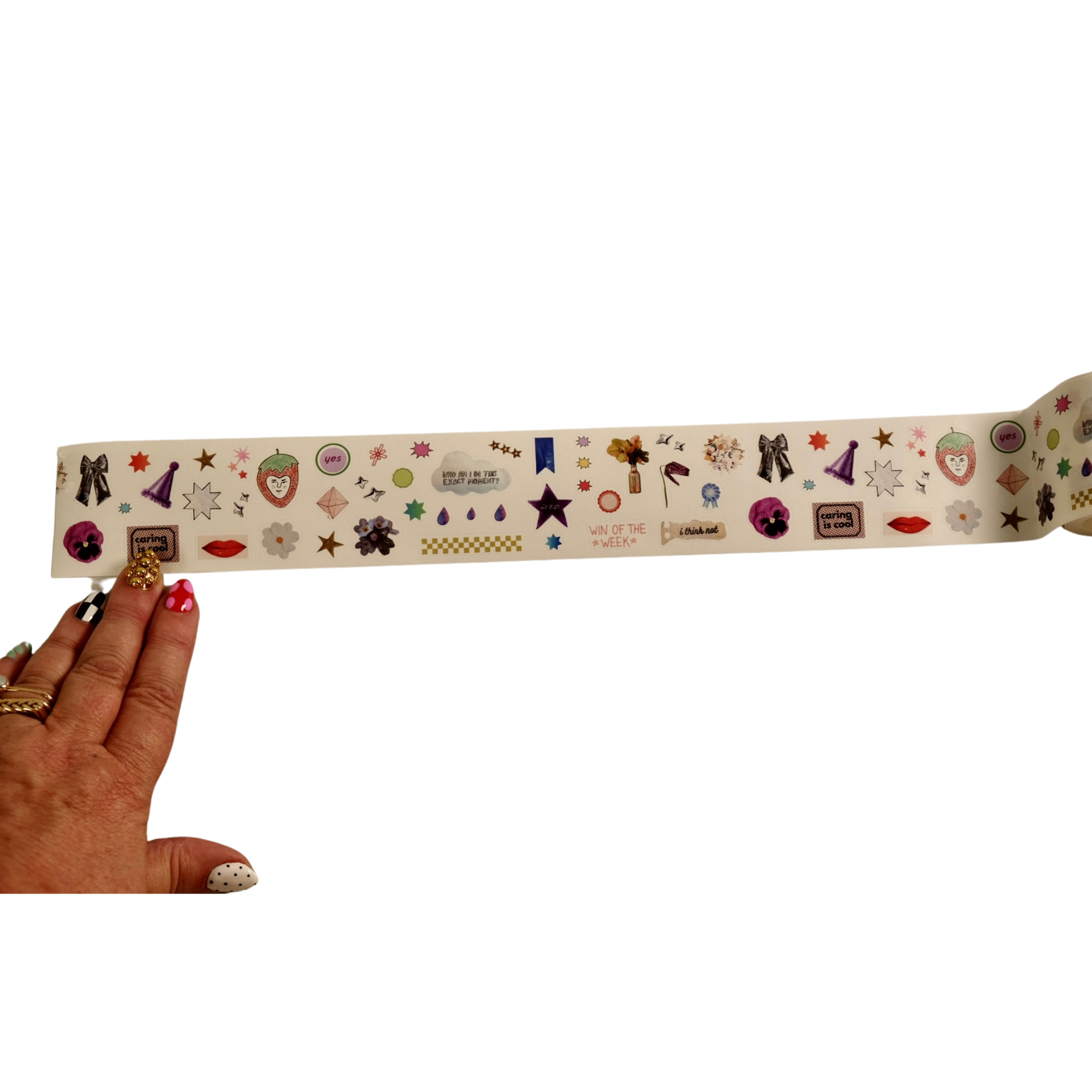 All the Pretty Things Washi Tape