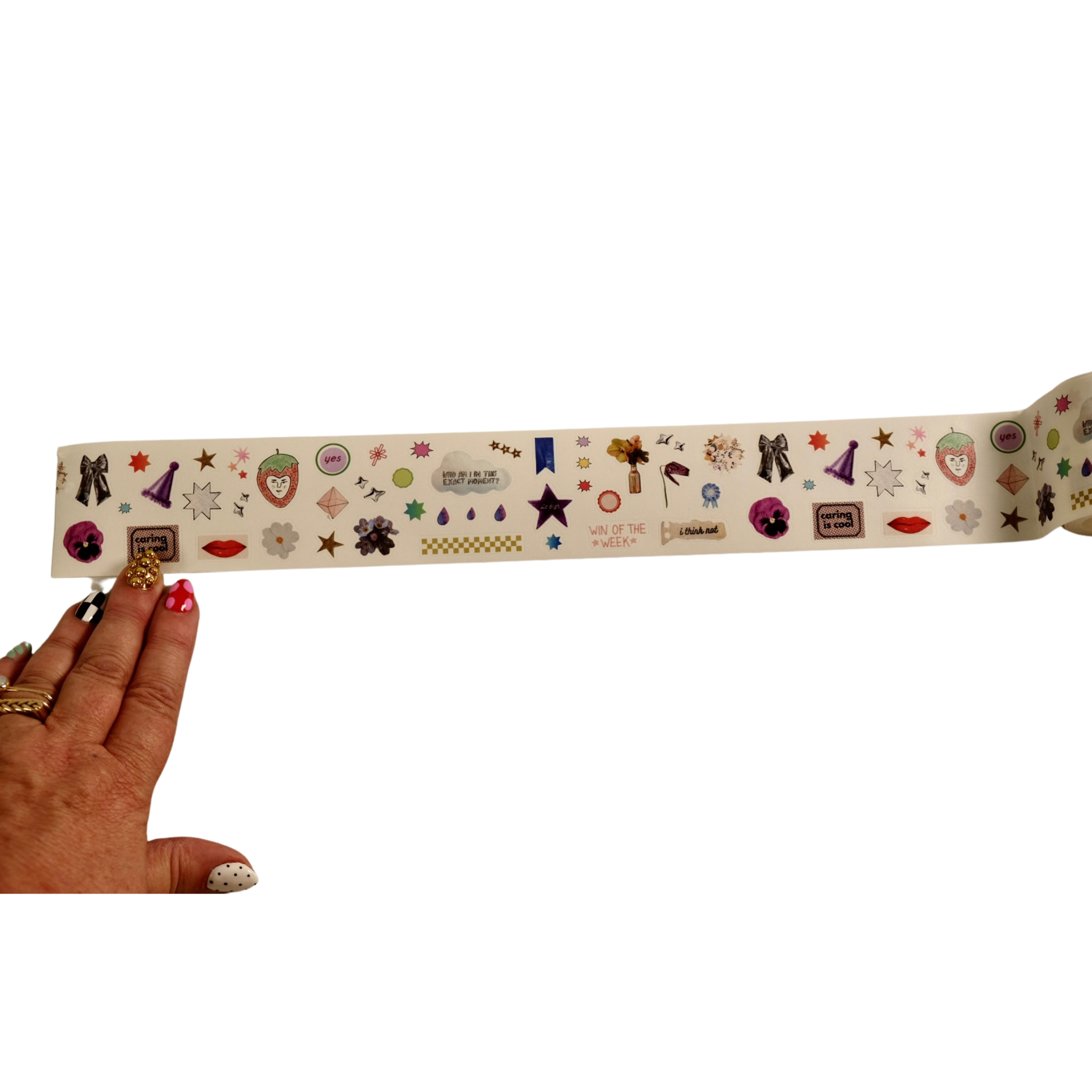 All the Pretty Things Washi Tape